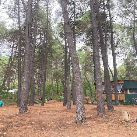 каравана макси 체르노모레츠