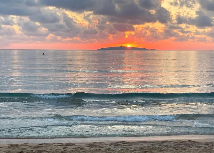 אתר קמפינג каравана макси *