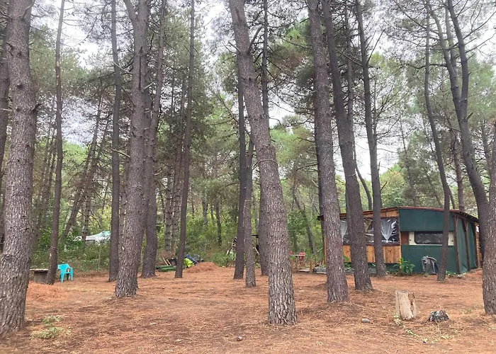 каравана макси צ'רנומורץ